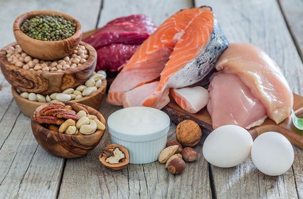 The Importance of Protein in Your Diet